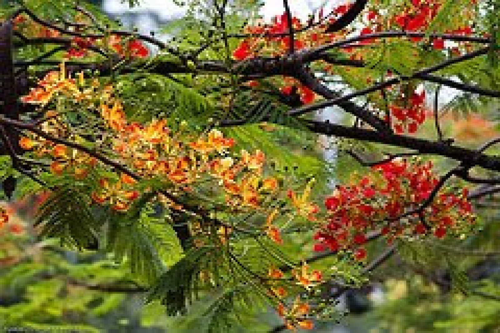 শুধু তোমারই থাকবো | Kathamala - read, write and publish story, poem for free in hindi, english, bengali