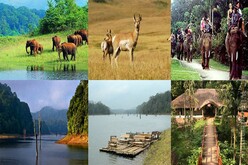 পেরিয়ার জঙ্গলে এক রাত|Kathamala - read, write and publish story, poem for free in hindi, english, bengali